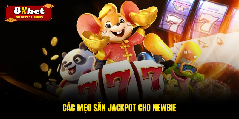 Các mẹo săn jackpot cho newbie