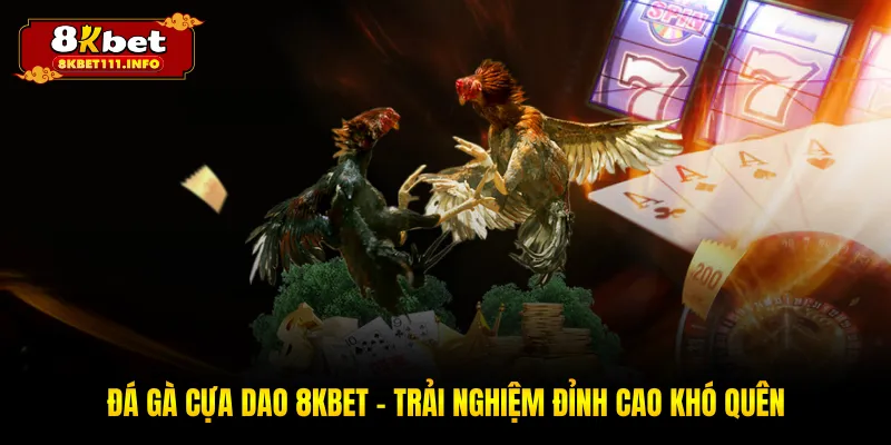Đá Gà Cựa Dao 8KBET - Đấu Trường Đẳng Cấp Tại Châu Á