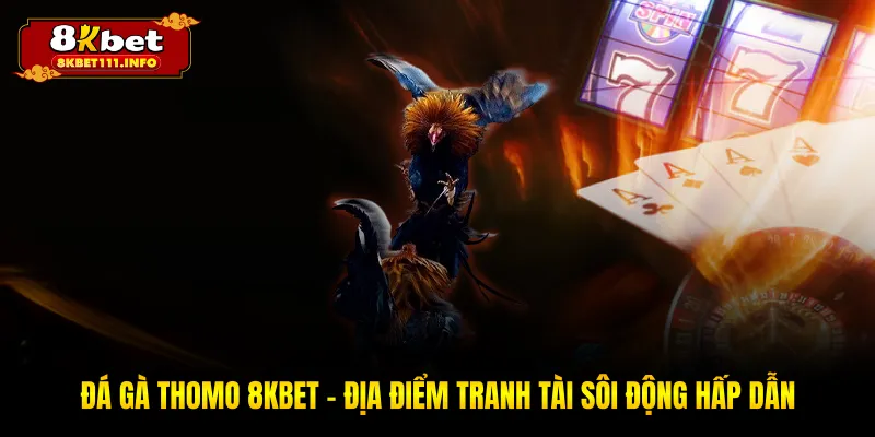 Đá gà Thomo 8KBET - Thế Giới Giải Trí Online Đỉnh Cao