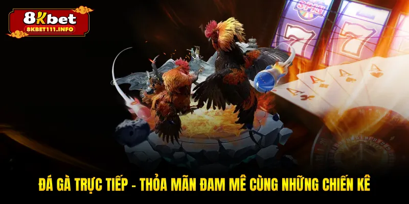 Đá Gà Trực Tiếp - Trải Nghiệm Đỉnh Cao Tại Trường Đấu