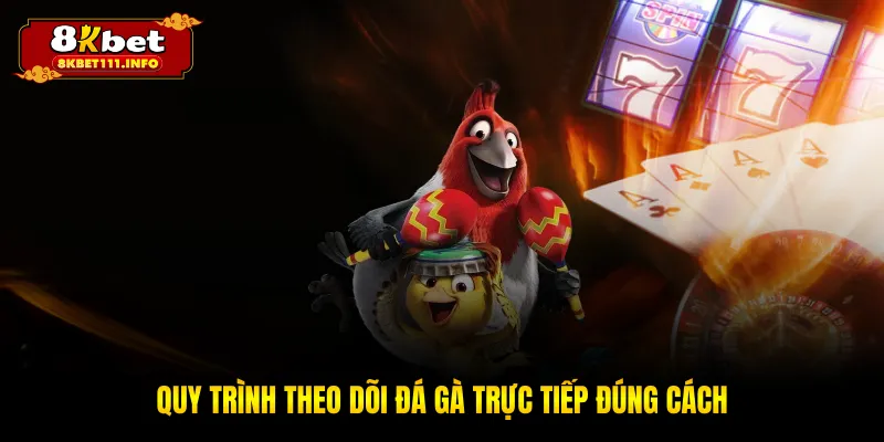Quy trình theo dõi đá gà trực tiếp đúng cách