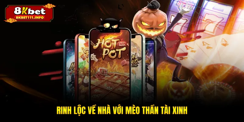 Rinh lộc về nhà với mèo thần tài xinh