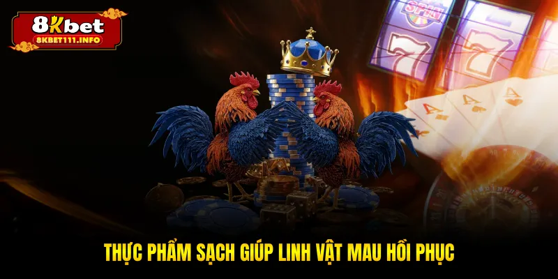 Thực phẩm sạch giúp linh vật mau hồi phục